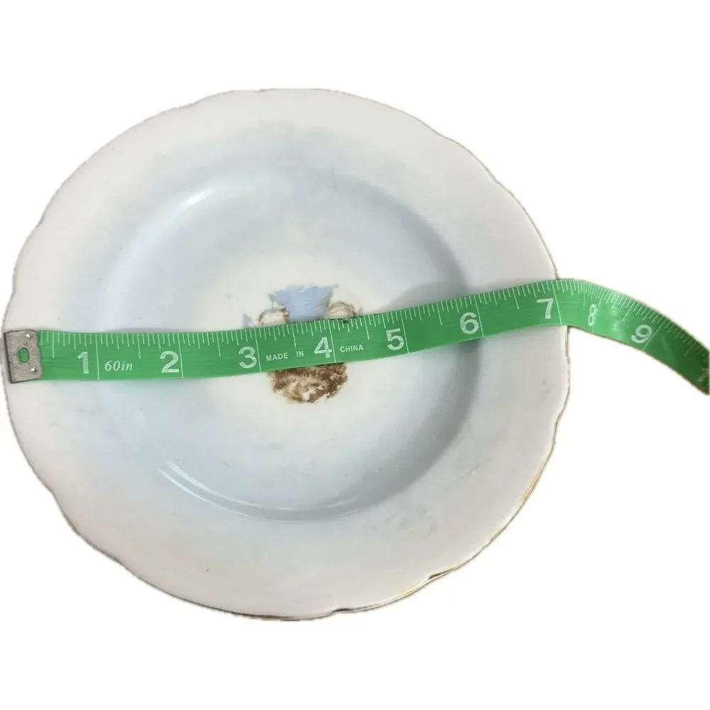 Vintage Porcelain Plate with‎ Delicate Floral Design